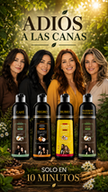 Shampoo DISAAR Hair Color